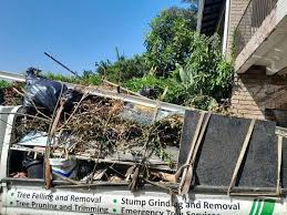 Best Demolition Debris Removal  in New Mford, IL